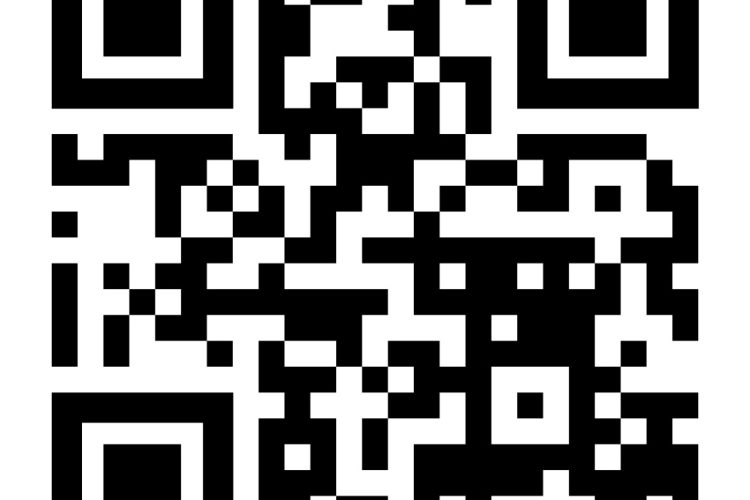 Mail mij het Bitsing Implementatie Stappenplan